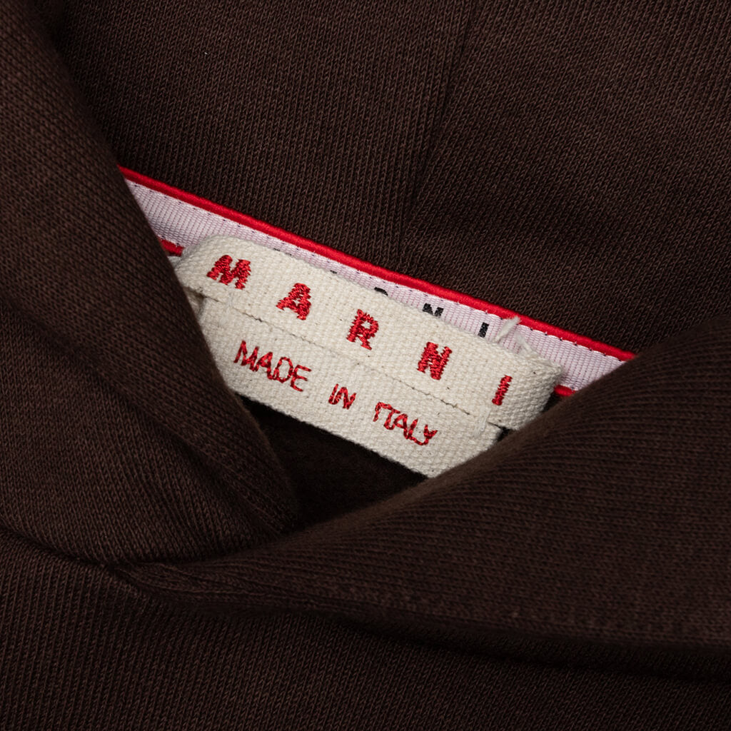 Layered Hooded Sweatshirt - Cacao