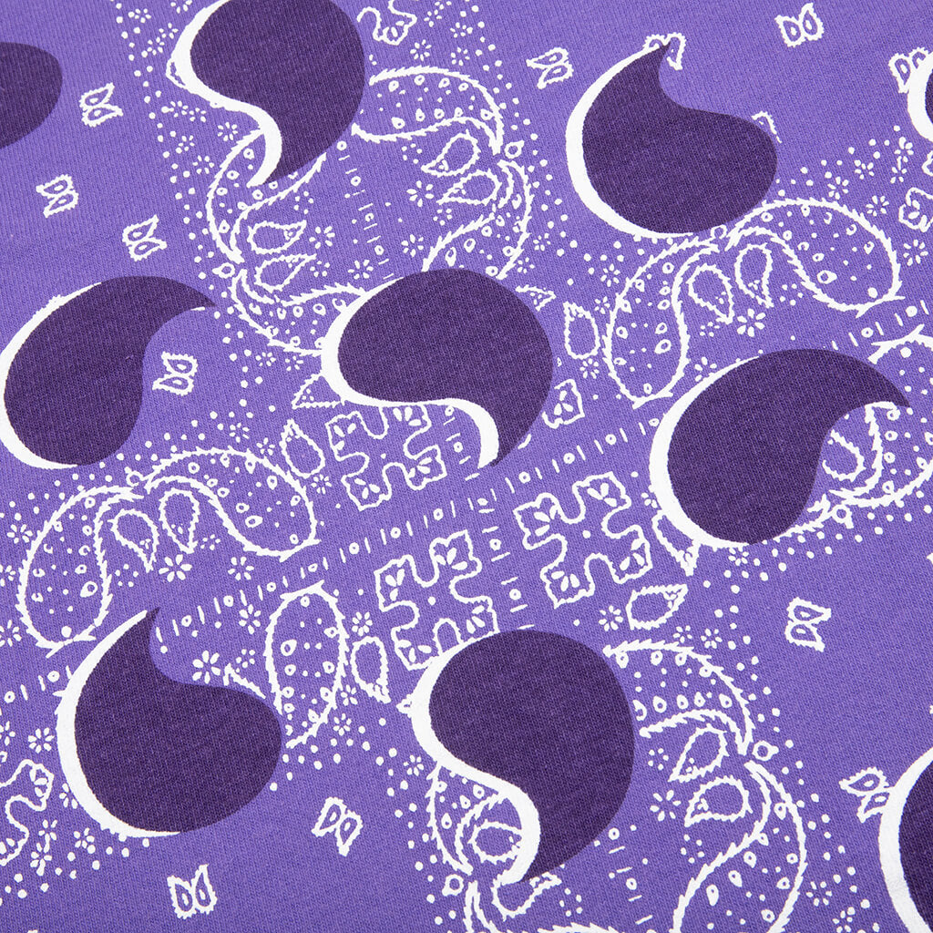 Awake Big Paisley L/S Tee - Sapphire