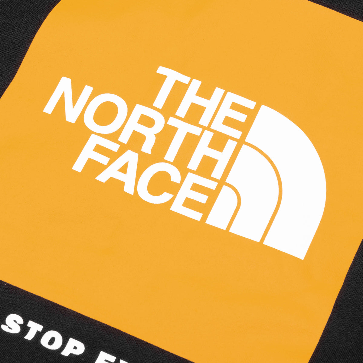 Box NSE Pullover Hoodie - TNF Black/Summit