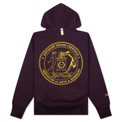 Critical Thinking Hoodie - Blackberry Wine