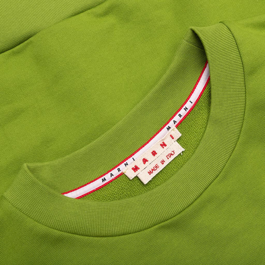 Sweatshirt - Kiwi