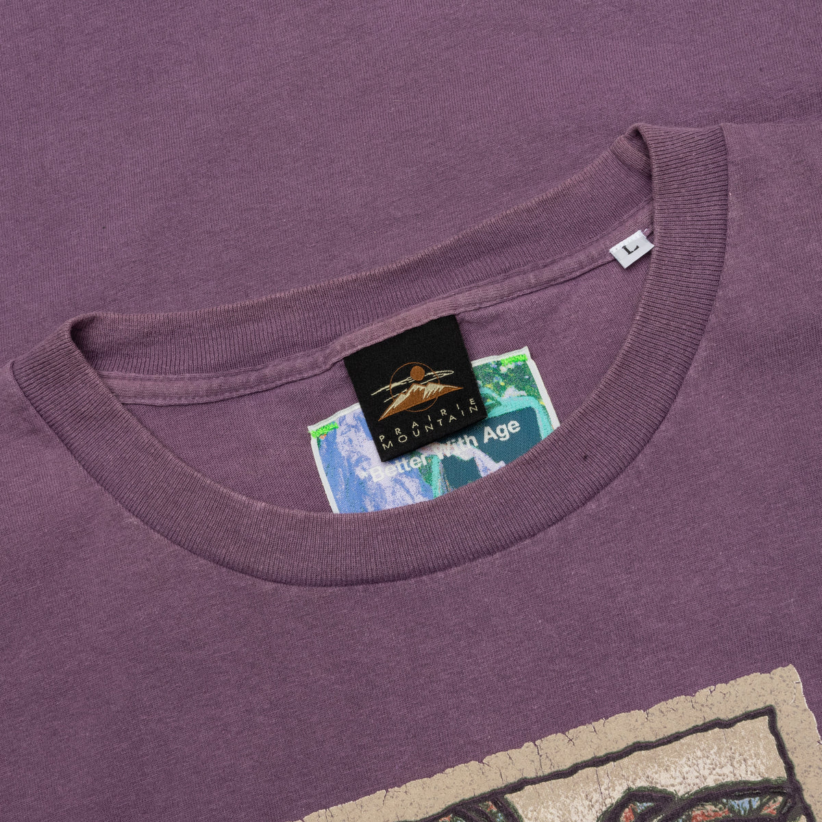 Fuck BWA Tee - Multi