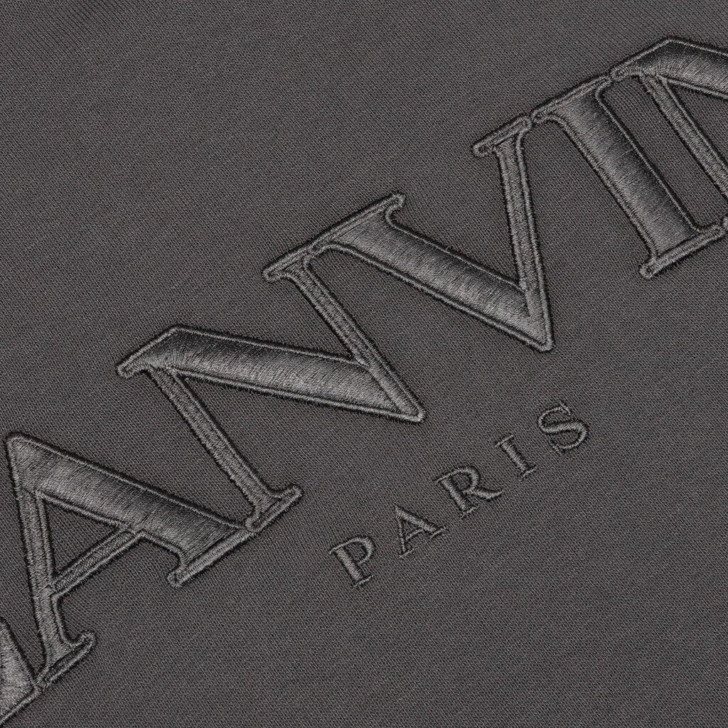Paris Embroidered Hoodie - Elephant Grey