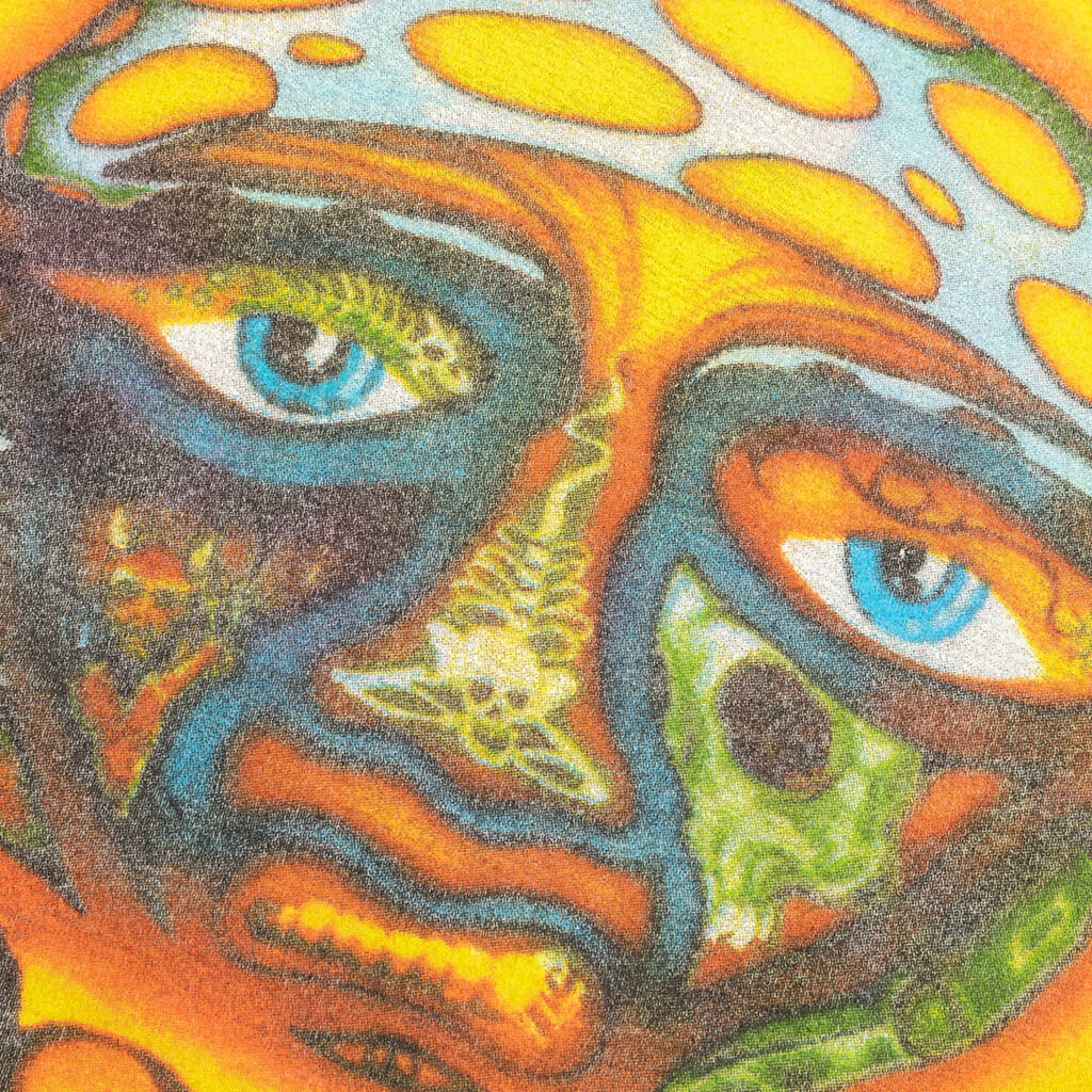 Sublime Crew Tee - Faded Rainbow