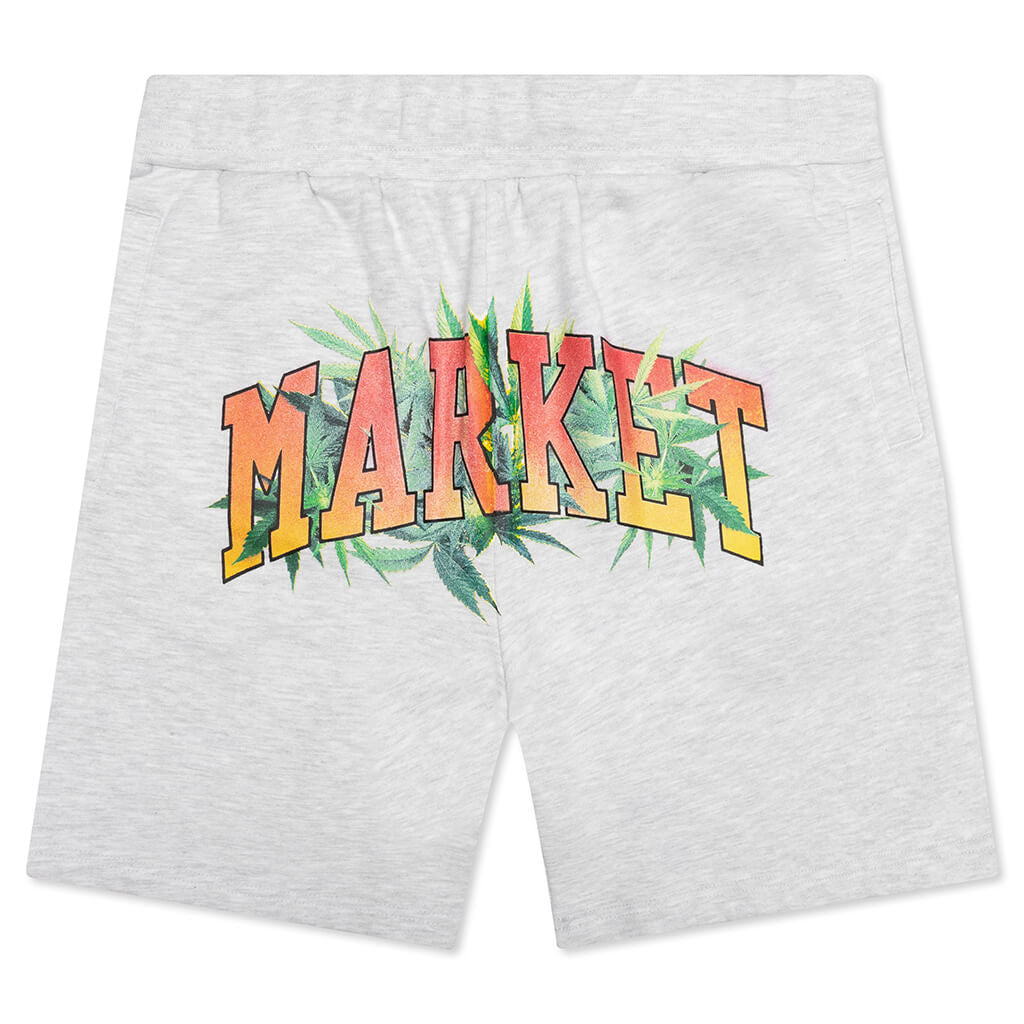 Arc Herbal Remedy Sweatshorts - Ash Grey