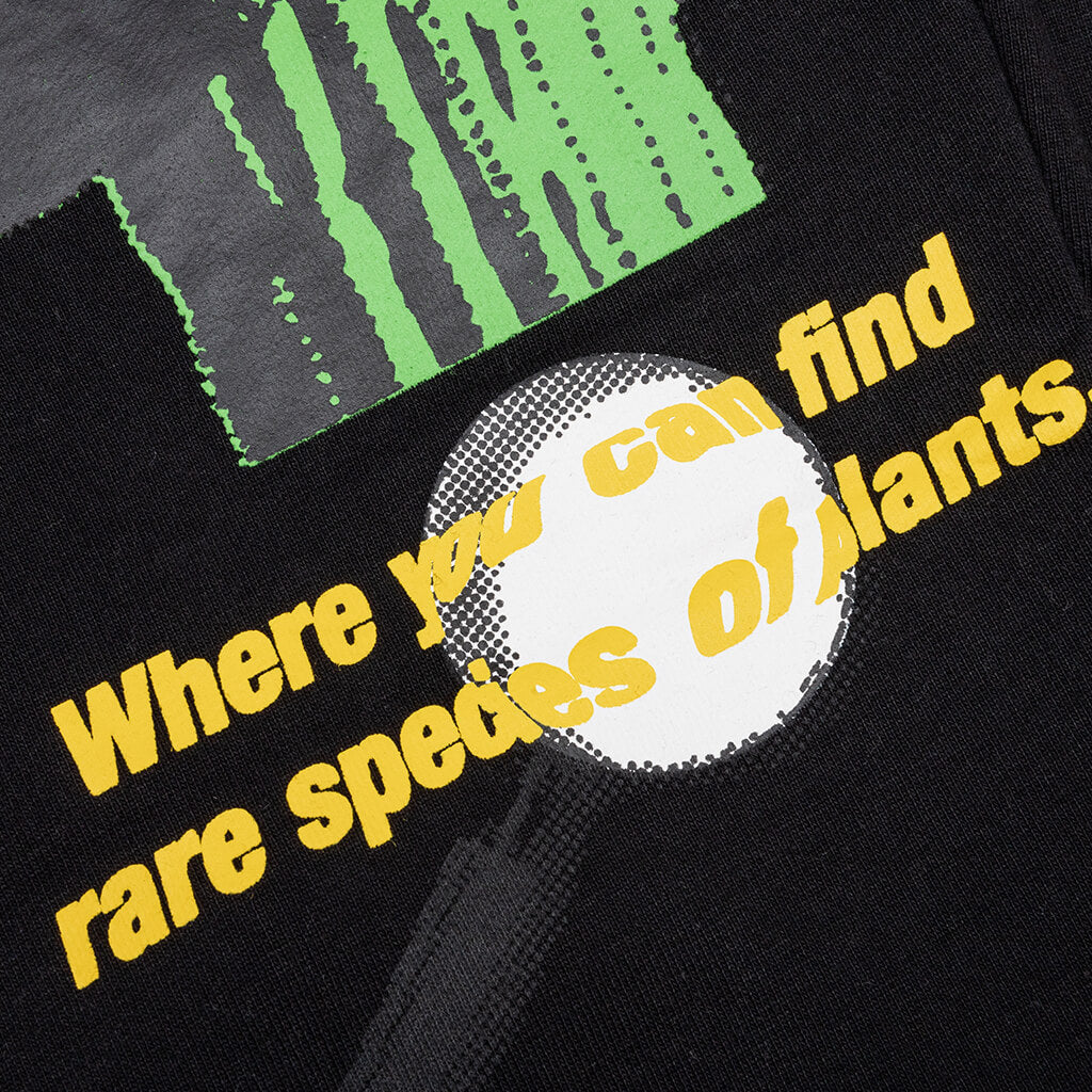 Growth Sweatpants - Black