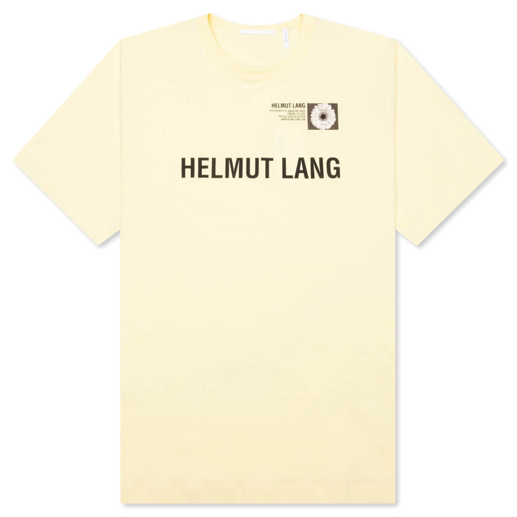 Photo Logo Tee - Anise