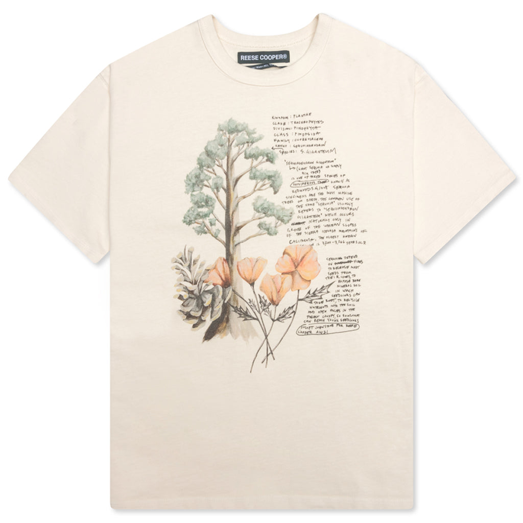 Juliet Johnstone Collab Tee - Vintage White