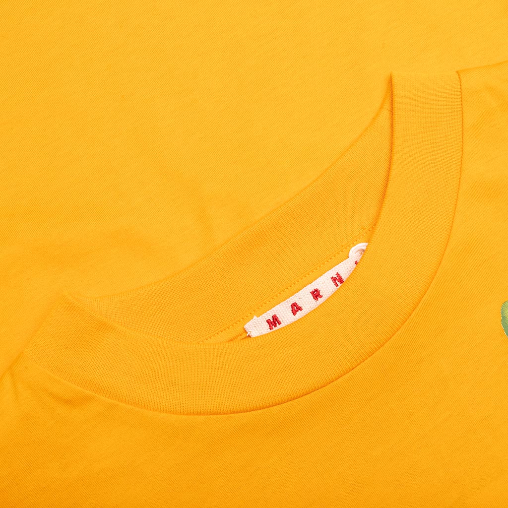 Organic Cotton T-Shirt With Marni Dripping Print- Light Orange