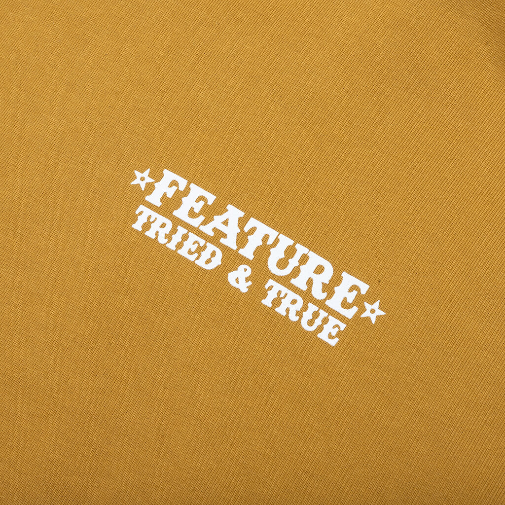 Tried and True Hoodie - Wood Thrush
