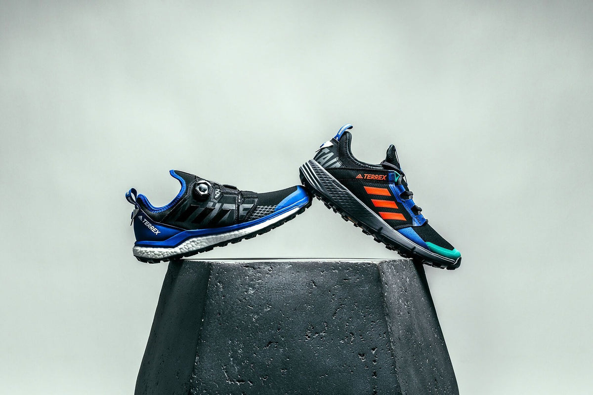 Originals x White Mountaineering Terrex Agravic BOA - Core Black/Collegiate Royal