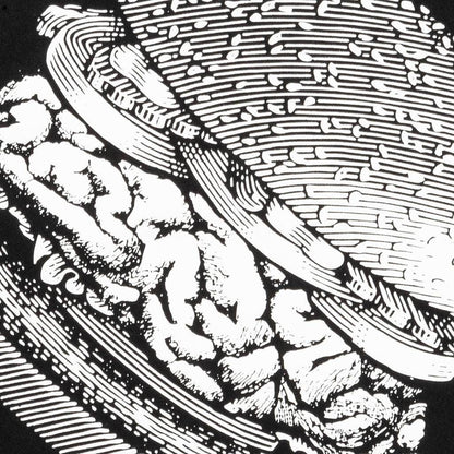 Brain Burgers Tee - Black